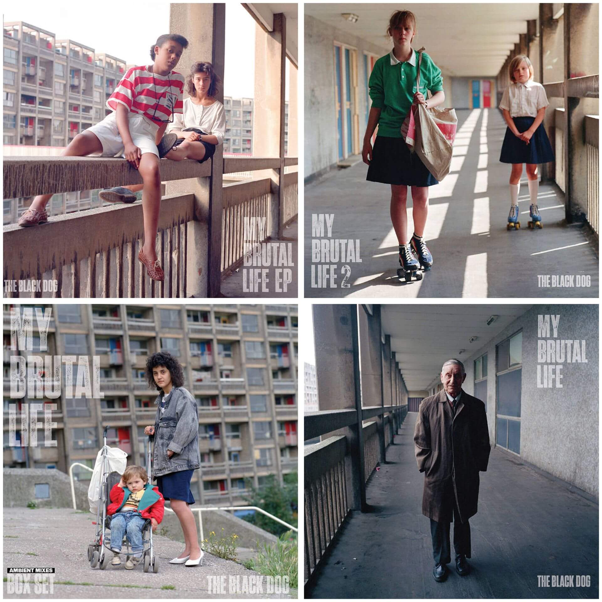 Black Dog - My Brutal Life